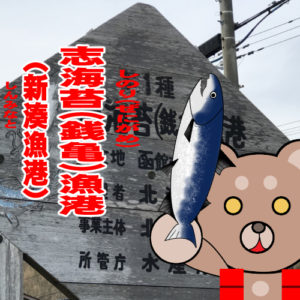 北海道(道南) 釣り場案内「志海苔（銭亀）漁港（新湊漁港）」ver.2　