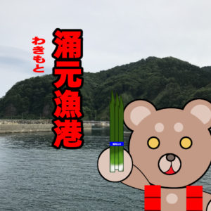 北海道(道南) 釣り場案内「涌元漁港」ver.2　