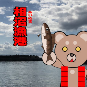 北海道(道南) 釣り場案内「相沼漁港」ver.2　