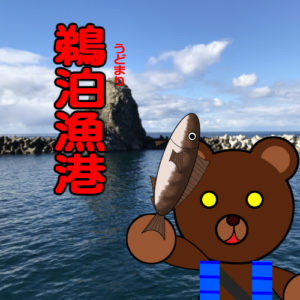 北海道(道南) 釣り場案内「鵜泊漁港」ver.2　