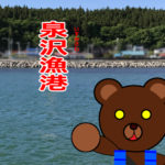 北海道(道南) 釣り場案内「泉沢漁港」ver.2