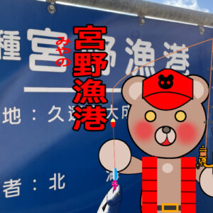北海道(道南) 釣り場案内「宮野漁港」ver.2